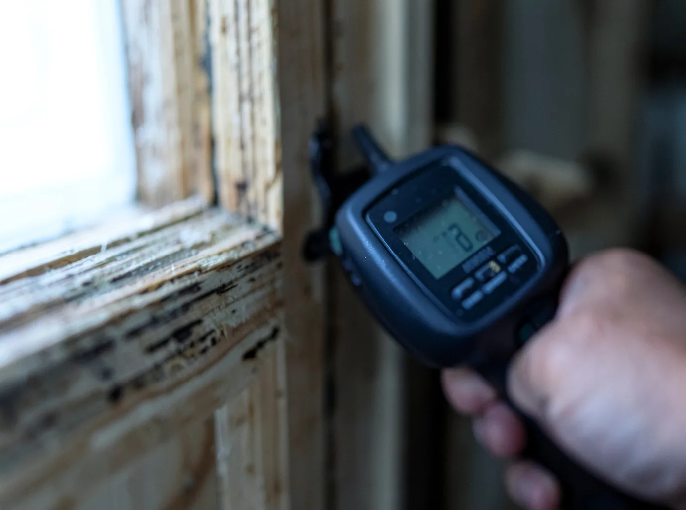 Moisture Inspection And Documentation in Seymour, TX